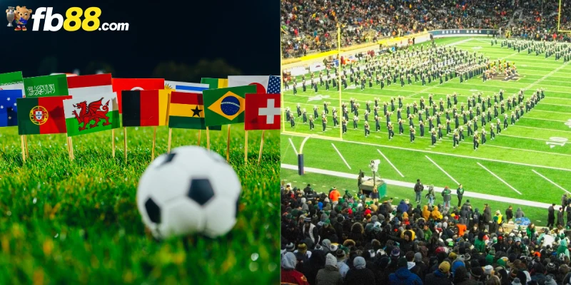 FIFA Là Viết Tắt Của Từ Gì | Giải Đấu Do FIFA Quản Lý 2 Vai trò