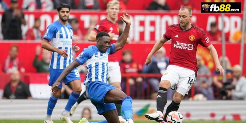 Soi kèo Brighton vs Manchester United 18h30 24/8/2024 – EPL 1 Chuyên gia FB88 nhận định Brighton vs Manchester United