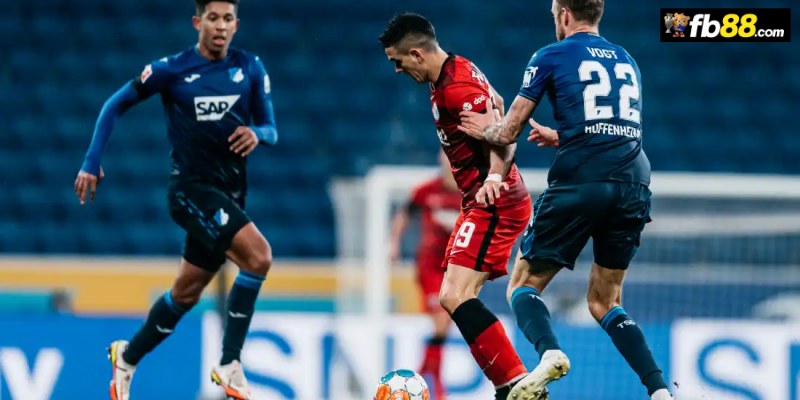 Soi kèo Frankfurt vs Hoffenheim 20h30 31/8/2024: VĐQG Đức 1 Chuyên gia FB88 nhận định Frankfurt vs Hoffenheim