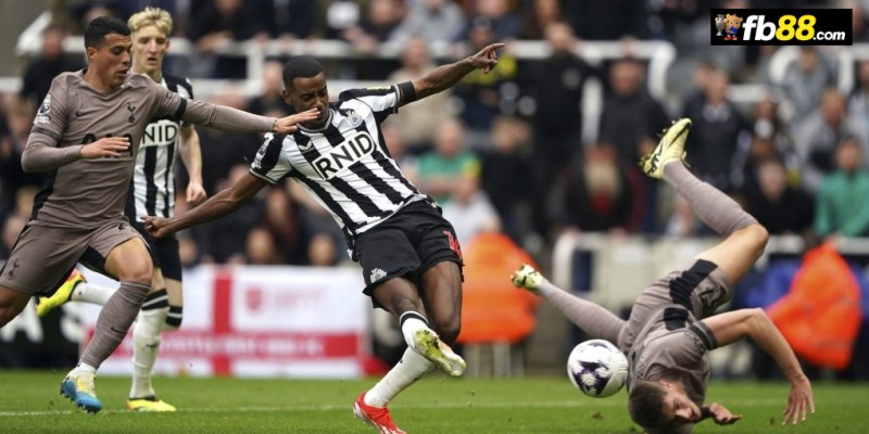 Soi kèo Newcastle vs Tottenham 19h30 1/9/2024: Ngoại hạng Anh 1 Chuyên gia FB88 nhận định Newcastle vs Tottenham