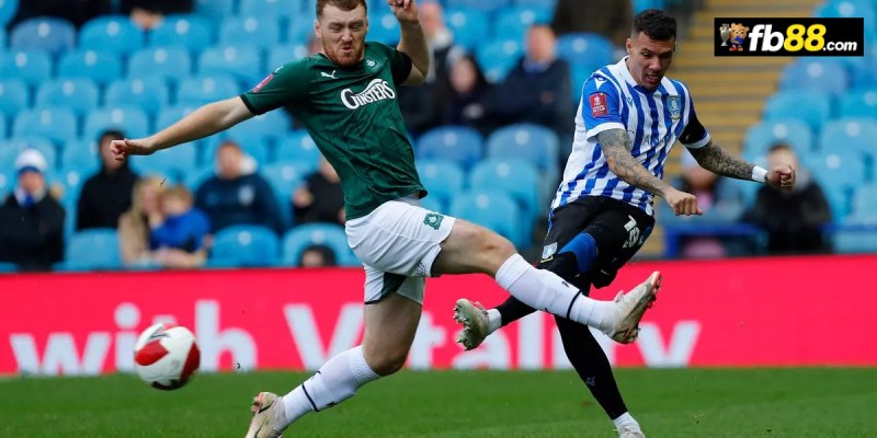 Soi kèo Sheffield Wed vs Plymouth 22h 11/8/2024 – Hạng Anh 1 Chuyên gia FB88 nhận định Sheffield Wed vs Plymouth