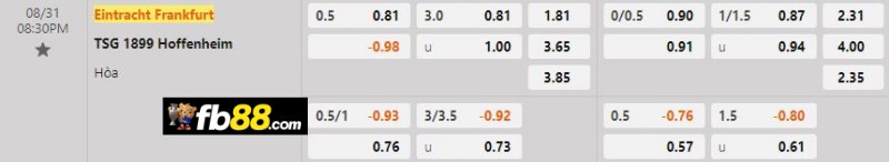 Soi kèo Frankfurt vs Hoffenheim 20h30 31/8/2024: VĐQG Đức 2 Phân tích tỷ lệ trận Frankfurt vs Hoffenheim