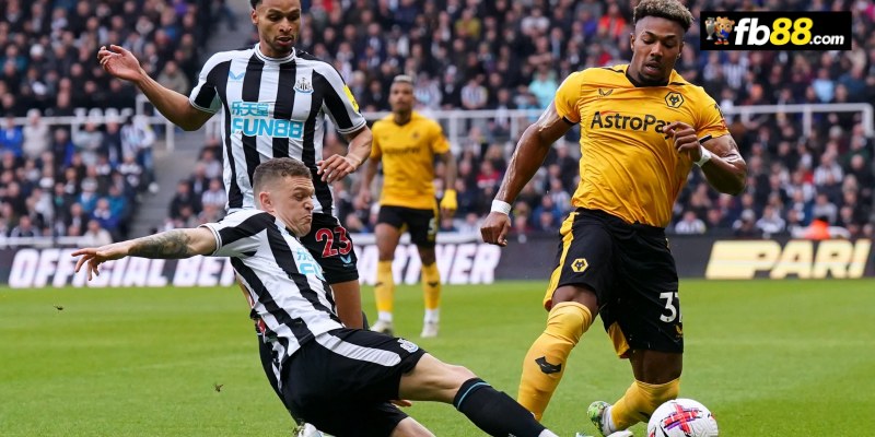 Soi kèo Wolves vs Newcastle United lúc 22h30 15/09/2024: EPL 1 Chuyên gia FB88 nhận định Wolves vs Newcastle United