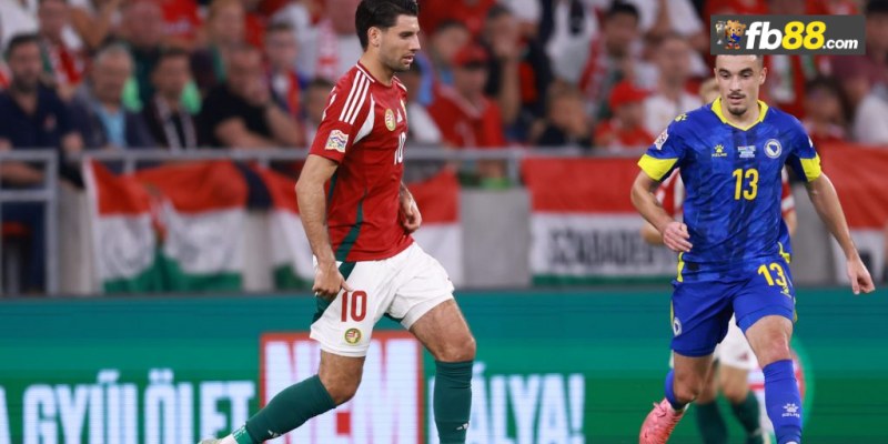 Soi kèo Bosnia Herzegovina vs Hungary 01h45 ngày 15/10/2024 1 Chuyên gia FB88 nhận định Bosnia Herzegovina vs Hungary