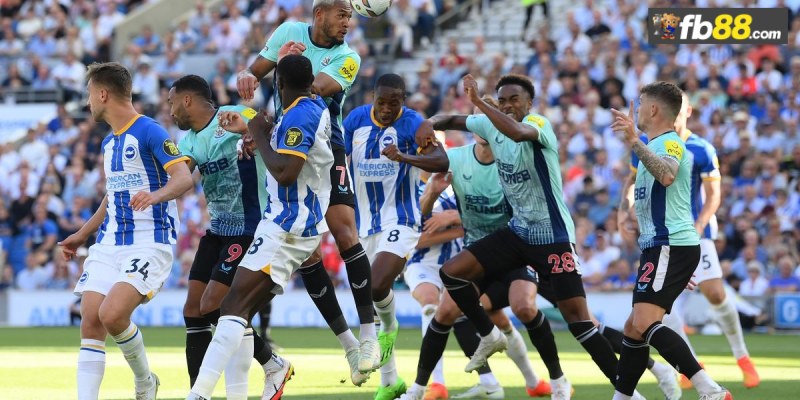 Soi kèo Newcastle vs Brighton Hove Albion 21h ngày 19/10/24 1 Chuyên gia FB88 nhận định Newcastle vs Brighton Hove Albion