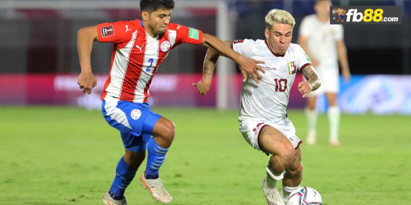 Soi kèo Paraguay vs Venezuela lúc 06h00 ngày 16/10/2024 1 Chuyên gia FB88 nhận định Paraguay vs Venezuela