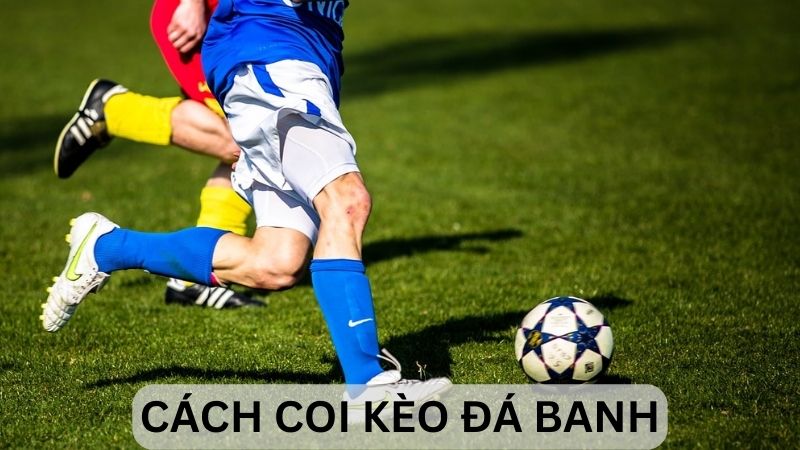 Cách Coi Kèo Đá Banh: Bí Kíp Để Trở Thành Cao Thủ Cá Độ 1 Bí quyết coi kèo đá banh: Nâng tầm trình độ cá cược