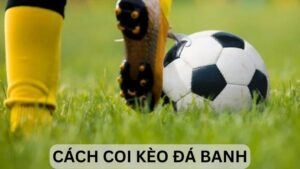 Hiểu rõ cách coi kèo đá banh là yếu tố quan trọng