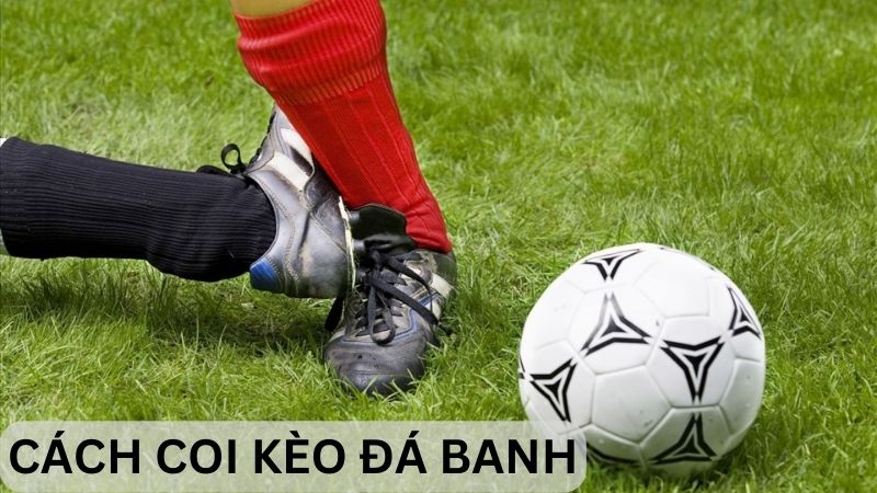 Cách Coi Kèo Đá Banh: Bí Kíp Để Trở Thành Cao Thủ Cá Độ 3 Cách coi kèo đá banh như chuyên gia độc đáo và hiệu quả