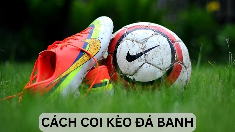 Cách Coi Kèo Đá Banh: Bí Kíp Để Trở Thành Cao Thủ Cá Độ 2 Hướng dẫn cách coi kèo đá banh chi tiết, chiến thắng liên tục