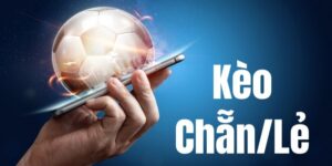 Kèo Odd Even là hình thức cá độ thú vị