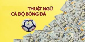 thông tin về các thuật ngữ cá độ bóng đá