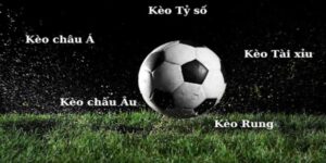 tổng hợp cho bạn các loại kèo bóng đá phổ biến